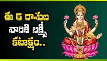 Mercury Transit 2026: మే నెలలో బుధ సంచారం.. ఈ 5 రాశుల వారికి లక్ష్మీ కటాక్షం.. ధన యోగంతో ఊహించని సంపద..