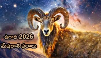 Ugadi Phalalu 2026: ఉగాది శ్రీ పరాభవ నామ సంవత్సరం.. మేషరాశి 2026 పూర్తి ఫలితాలు..!!