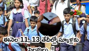 School Holidays: స్కూల్ విద్యార్థులకు గుడ్ న్యూస్.. ఈ నెల 2 రోజులు స్కూల్ హాలిడే ఫిక్స్..!