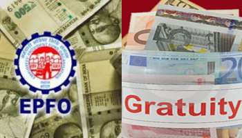 EPF Gratuity Calculation: మీ శాలరీ స్లిప్ మారబోతోంది.. వచ్చే నెల నుండి కొత్త జీతాల లెక్కలు.. బేసిక్ పే 50శాతం ఉంటే మీ లాభం ఎంత?