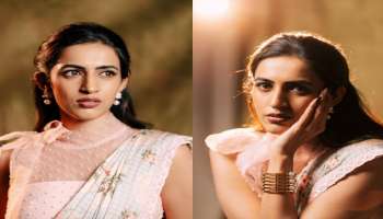 Niharika Konidela: గుడ్ బై చెప్తానో.. చెప్పనో మీకెందుకు.. మెగా డాటర్ సీరియస్..