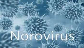 New China Virus: కొత్త చైనా వైరస్ కలకలం.. ఏకంగా 101మందికి పైగా విద్యార్థులకు సోకిన మహమ్మారి..!