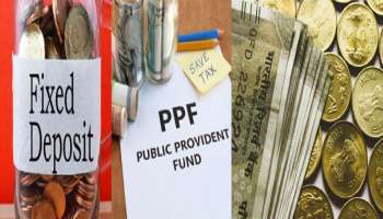 PPF vs FD: స్వయం ఉపాధి ఉన్నవారికి కోట్లు సంపాదించి పెట్టే బెస్ట్ స్కీమ్ ఇదే!
