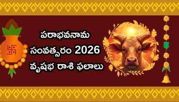 Vrushabha Rashi 2026: శ్రీ పరాభవ నామ సంవత్సరం.. వృషభ రాశివారికి ఎలా ఉంటుందంటే..?