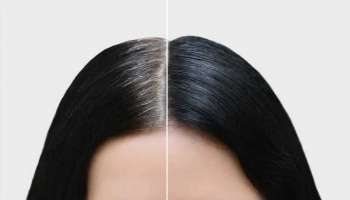 Permanent Black Hair: 80 ఏళ్లలో కూడా గుప్పెడు ఆవాలతో తెల్ల జుట్టు.. పర్మనెంట్‌గా నల్లగా మార్చుకునే విధానం ఇదే..!