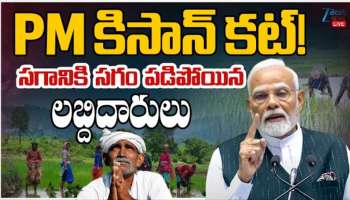PM Kisan: పీఎం కిసాన్‌ కట్‌.. సగానికి సగం పడిపోయిన లబ్దిదారులు, మీ పేరు ఉందా?