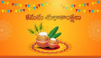 Happy Kanuma 2026: తెలుగులో కనుమ శుభాకాంక్షలు.. ఇలా అందరికీ పంపండి!