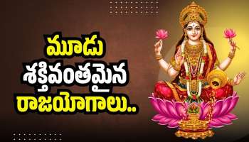 Raja Yoga Effect: 3 రాశులవారికి ఫిబ్రవరి నెల వరకు బంపర్‌ లాభాలు.. డబ్బే, డబ్బు!