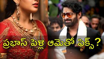 Prabhas Marriage: ప్రభాస్‌కు కాబోయే భార్య పవన్ కల్యాణ్ హీరోయిన్? ఇదిగో ప్రూఫ్