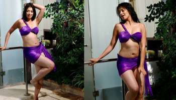 Raai Laxmi Bikini Pics: బికినీలో రాయ్ లక్ష్మీ రచ్చ.. టాప్ టు బాటమ్ అందాలను చూపించేసిందిగా! వైరల్ పిక్స్