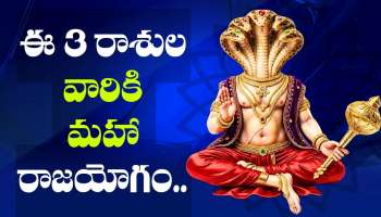 Ketu Transit 2026: మఖ నక్షత్రంలోకి కేతువు.. ఈ 3 రాశుల వారికి మహారాజయోగం.. ఇక డబ్బే, డబ్బు!