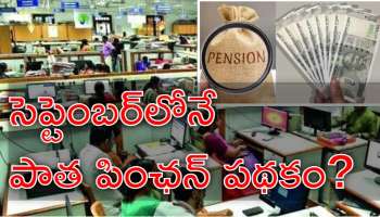 Govt Employees: ప్రభుత్వ ఉద్యోగులకు బిగ్‌ అప్‌డేట్‌.. సెప్టెంబర్‌లో పాత పింఛన్‌ విధానం అమలు?