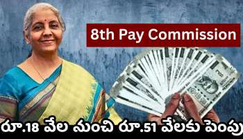 Salary Hike: 8th Pay Commissionపై ఆర్థిక శాఖ మంత్రి కీలక వ్యాఖ్యలు.. బేసిక్ శాలరీ రూ.18 వేల నుంచి రూ.51 వేలకు పెంపు!
