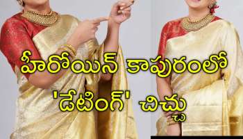 Star Heroine Divorce: మహేశ్‌ బాబు అత్త విడాకులు..? ఇన్‌స్టాగ్రామ్‌లో బయో మార్పు