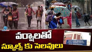 School Holiday: దిత్వా తుపాను అల్లకల్లోలం..వరుసగా 3 రోజులు స్కూళ్లకు సెలవులు..పండగ చేసుకోండి గురూ!