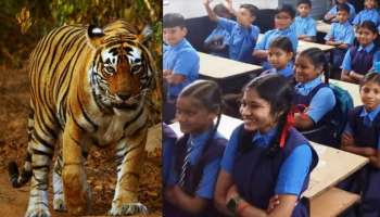 School Holiday: నేడు, రేపు స్కూళ్లకు సెలవులు..పాఠశాలల్లో పులి సంచారం..పిల్లలు బయటకు రావొద్దని హెచ్చరిక!