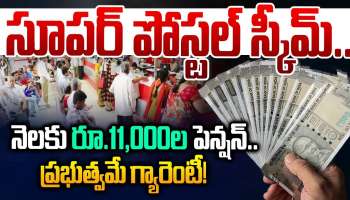 Pension Scheme: నెలకు రూ.11,000 పెన్షన్..కొత్త పథకం తెచ్చిన ప్రభుత్వం..రిటైర్మెంట్ తర్వాత సూపర్ బెనిఫిట్!