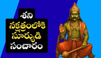 Sun Transit Effect: శని నక్షత్రంలోకి సూర్యుడి సంచారం.. నవంబర్ నెల ఈ రాశుల వారికి అదృష్టాన్ని తెచ్చి పెట్టబోతోంది..