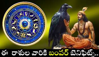 Saturn Retrograde: శని తిరోగమనం ఎఫెక్ట్.. ఈ  రాశుల వారికి బంపర్ బెనిఫిట్స్.. రాత్రికి రాత్రే భారీ మొత్తంలో డబ్బు పొందుతారు!