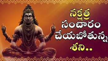 Shani Dev: నక్షత్ర సంచారం చేయబోతున్న శని.. ఈ రాశుల వారికి అనుకోని ధన లాభాలు..