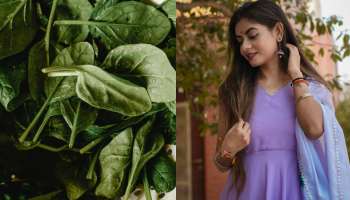 Spinach Mask: ఈ మాస్క్‌ ఒక్కటి చాలు.. చుండ్రు, హెయిర్‌ ఫాల్‌, తెల్ల జుట్టు సమస్యలు పరార్‌..