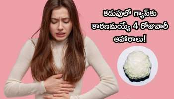 Gastric: కడుపులో గడబిడ.. గ్యాస్‌.. ఉబ్బరానికి కారణమయ్యే 4 రోజువారీ ఆహారాలు, మీరు అస్సలు ఊహించరు!