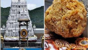 Tirumala Laddu: తిరుమల శ్రీవారి భక్తులకు బిగ్‌షాక్.. ఇక నుంచి నో ఎక్స్‌ ట్రా లడ్డు