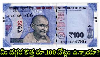 100 Rupee Note Sell: మీ దగ్గర కొత్త రూ.100 నోట్లు ఉన్నాయా? ఇప్పుడే ఇలా అమ్మితే రూ.30 లక్షలు పొందవచ్చు..