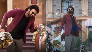 The Raja Saab Piracy: రెస్టారెంట్‌లో ది రాజా సాబ్ సినిమా అక్రమ ప్రదర్శన.. ఎక్కడంటే..?