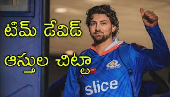 Tim David: ఆర్‌సీబీ స్టార్ ప్లేయర్ టిమ్ డేవిడ్ ఆస్తి విలువ ఎంత? ఐపీఎల్‌తో అతడి సంపాదన ఎంతో తెలుసా?
