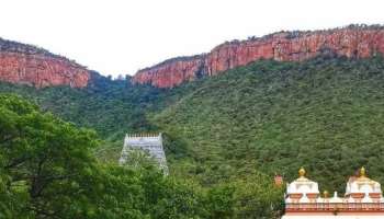 8th Step Tirumala Belief: తిరుమల అలిపిరి నడక మార్గంలో 8వ మెట్టు వెనక  దాగివున్న రహస్యం ఇదే..!