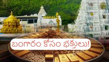 Tirumala Gold Demand: బంగారం కోసం తిరుమలలో ఎగబడ్డ భక్తులు..!