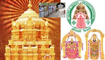 Tirumala News: తిరుమల శ్రీవారి భక్తులకు అదిరిపోయే శుభవార్త.. గంటలోపే దర్శనం..