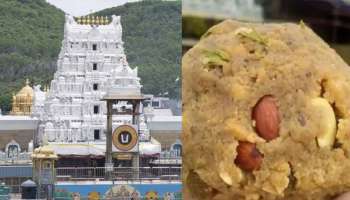 Kadapa: తిరుమల నెయ్యి ట్యాంకర్‌ బోల్తా.. బిందెలు, బకెట్లతో ఎగబడిన జనం..!!