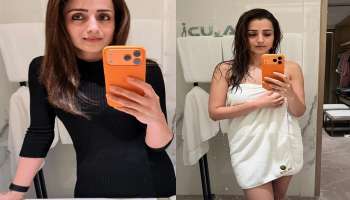 Trisha Bathroom Photos: మరోసారి త్రిష ప్రైవేట్ బాత్రూమ్ ఫొటోస్ లీక్…!