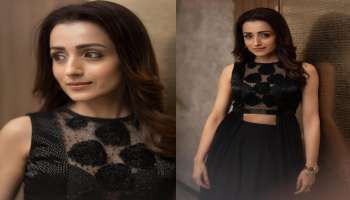 Trisha Net Worth: త్రిష ఆస్తుల వివరాలు తెలుసా.. అందుకే అన్ని బెదిరింపులు..!