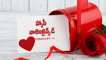 Happy Valentines Day 2026: హ్యాపీ వాలెంటైన్స్ డే ఫొటోస్, కోట్స్ మీకోసం..