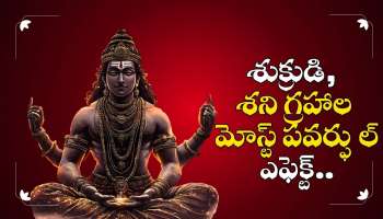 Venus And Saturn Effect: శుక్రుడి, శని గ్రహాల మోస్ట్ పవర్ఫుల్ ఎఫెక్ట్.. ఈ రాశుల వారికి అఖండ ధనయోగం..