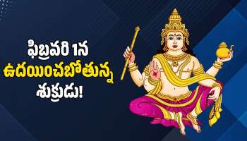 Venus Rising 2026: ఫిబ్రవరి 1న ఉదయించబోతున్న శుక్రుడు.. ఈ రాశులవారికి బంపర్‌ జాక్‌పాట్!