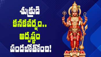 Venus Transit 2026: శుక్రుడి కనకవర్షం.. ఈ 3 రాశులకు ఇక తిరుగులేనట్టే.. అదృష్టం పండబోతోంది!