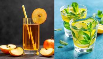 Weight Loss Summer Drinks: డైట్ లేకుండానే స్లిమ్ అవ్వాలా..ఈ సమ్మర్ డ్రింక్స్ ట్రై చేయండి!
