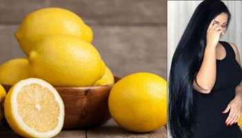 White Hair To Black: ఇంకెన్నిరోజులు జుట్టుకు రంగు వేస్తారు..ఒక్కసారి ఇలా చేస్తే, జుట్టు నల్లగా తళతళా మెరిసిపోతుంది!