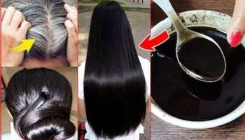 White Hair Remedies: తెల్ల జుట్టు సమస్యకు ఇకపై చెక్ పెట్టొచ్చు..హెన్నా, కలర్ వేయకుండానే నల్లగా మెరిసే జుట్టు మీకోసం!