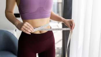 Winter Weight Loss: శీతాకాలంలో బరువు తగ్గాలా? ఈ 4 పండ్లు తింటే జిమ్ వెళ్లకుండానే కిలోల కొద్దీ బరువు తగ్గుతారు!