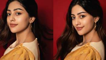 Anu Emmanuel: చీరలో కలువ కళ్లతో మాయ చేస్తున్న అను ఇమ్మాన్యుయేల్.. ఫోటోలు చూశారా..! 