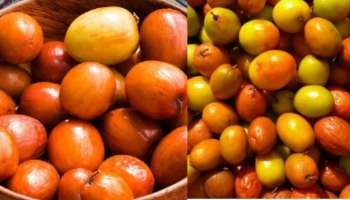 Regi Pandu in Winter: చలికాలంలో లభించే సూపర్ పండు.. రేగు పండ్లను తింటే ఎన్ని లాభాలో తెలుసా..?..