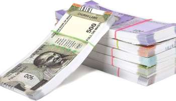 Business Ideas: అధిక ధర, తక్కువ శ్రమ.. ఎకరాకు లక్షల్లో లాభాలు.. ఈ  పంట రైతుల జీవితాన్ని మార్చేస్తోంది..!! 