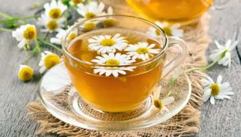 Chamomile Tea: చామంతి టీ తీసుకోవడం వల్ల కలిగే కొన్ని ముఖ్యమైన ప్రయోజనాలు ఇవే!