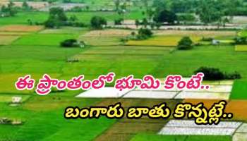 Real Estate: ఒకప్పుడు ఎకరం రూ. 20వేలు కూడా లేదు.. ఇప్పుడు ఎకరం రూ. 50లక్షలు.. ఈ ప్రాంతంలో భూమి కొంటే బంగారు బాతు కొన్నట్లే..!!