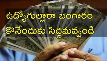 DA Hike: బడ్జెట్‌ నిరాశపర్చినా కేంద్రం నుంచి ఉద్యోగులకు భారీ గిఫ్ట్‌.. డీఏ 63 శాతానికి పెంపు?